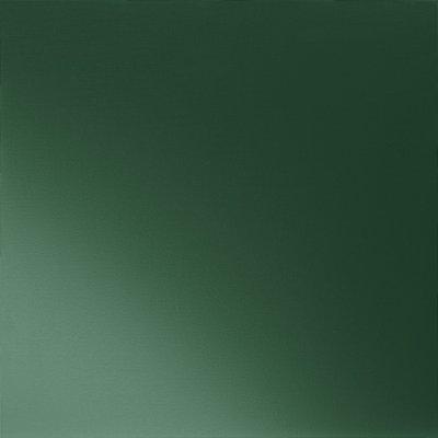 Machovo zelená  6005  -  Obrázok