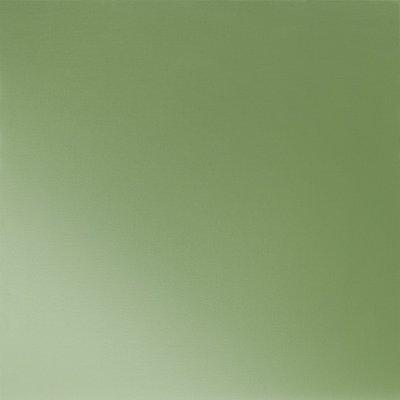 Trávovo zelená  6011  -  Obrázok