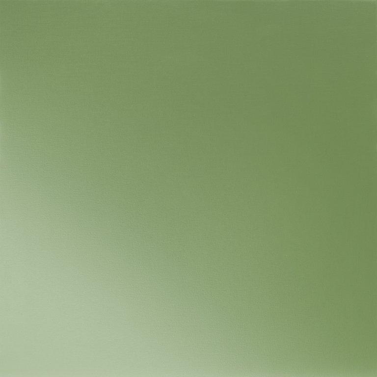 Trávovo zelená  6011  -  Pozink lakovaný  -  Obrázok