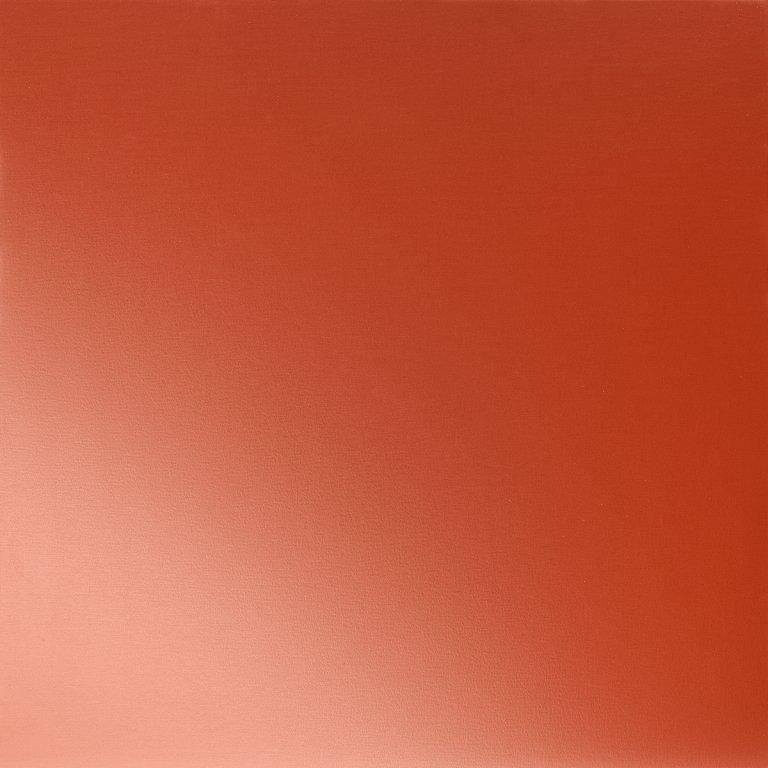 Rally red  3020  -  Galvanized steel prepainted  -  Picture