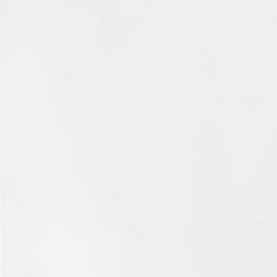 Biela  9010  -  Obrázok