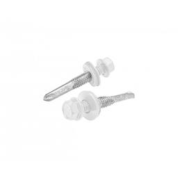 Self-drilling screw galvanized steel GT12  - Galvanized steel prepainted  - Pure white  -  Picture 1