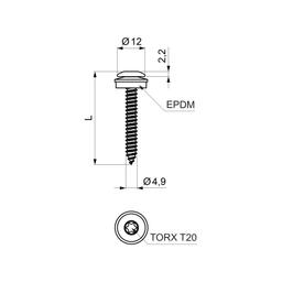 Self-tapping srew stainless steel  - Stainless steel prepainted A2/A2  - Anthracite  -  Picture 2