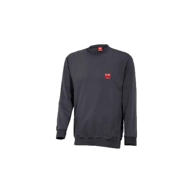 Толстовка из хлопка антрацитового цвета  - 60 % хлопок/40 % полиэстер (прибл. 300 g/m²)  - Антрацит  -  Изображение