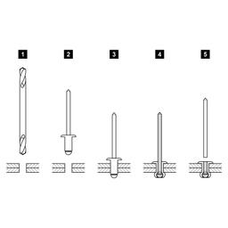 Tear-off rivet  - Aluminium prepainted  - Anthracite  -  Picture 3