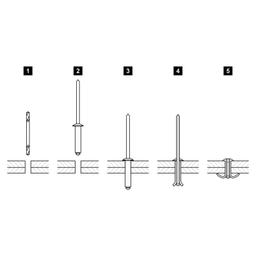 Blind rivet dome head  - Aluminium  - Natur  -  Picture 4