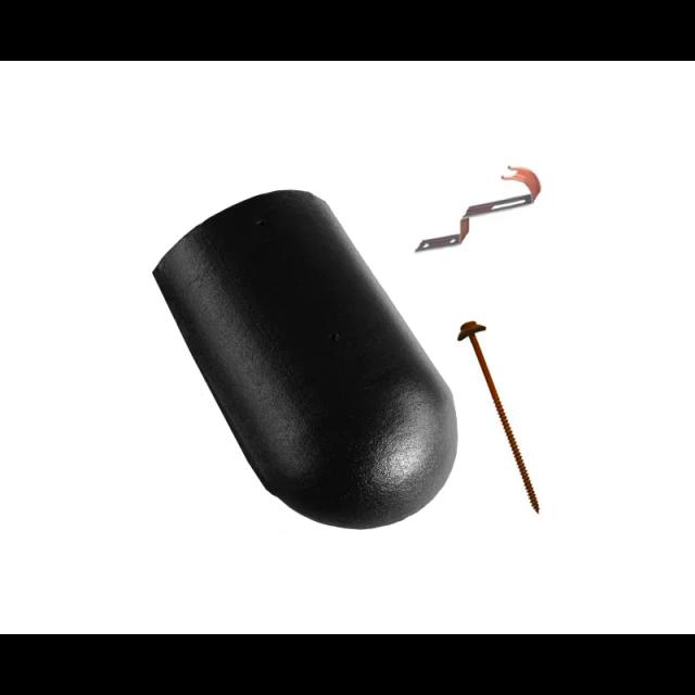 Obrázok - Hrebenáč začiatočný a konečný DANUBIAnull