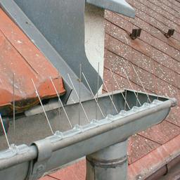 Hrotový systém proti sedeniu vtáctva - Nerez - Natur - Obrázok 2