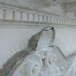 Hrotový systém proti sedeniu vtáctva - Nerez - Natur - Obrázok 2